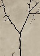 Wall_Art_Alphabet_Photography_Art_ 2540